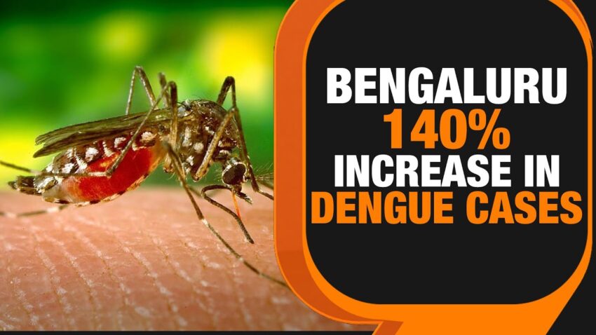 Bengaluru On Dengue Alert