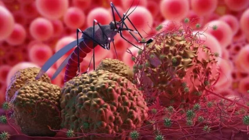 Chandipura Virus In Gujarat